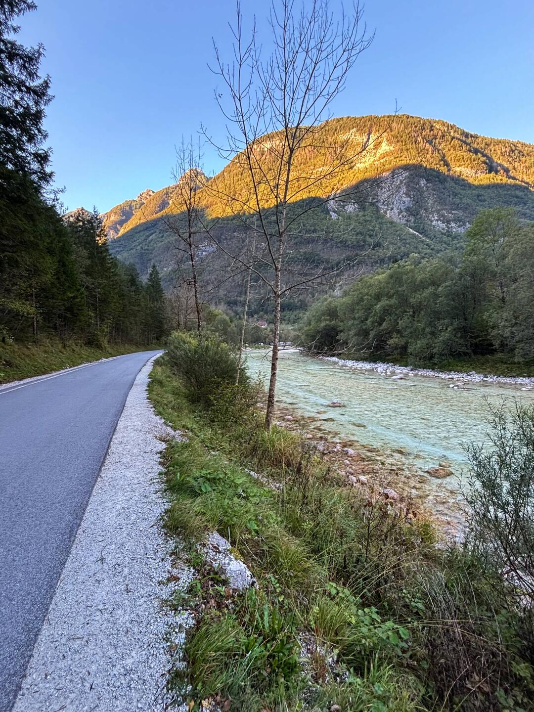 Soča
