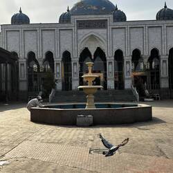 The mosque