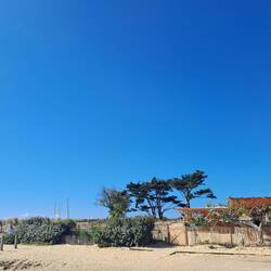 La Pointe du Cap Ferret