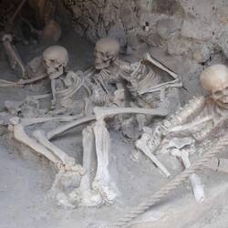 3D copies of skeletons found on the sea shore waiting for rescue