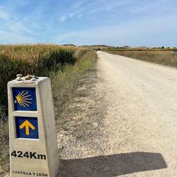 356 km down,424 to go. Almost to the halfway point.