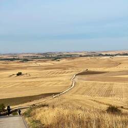 Lots of walking through the fields of the Meseta today.