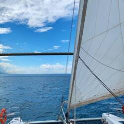 Da ist sie wieder unsere Brücke. Bei achterlichem Wind konnten wir sie mit 3,5kn durchsegeln