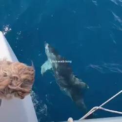 6 Prachtexemplare haben uns ein Weilchen begleitet