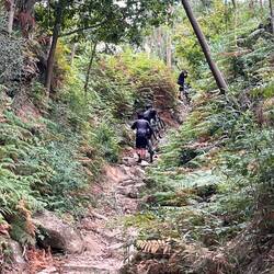 I saw the bikers come from the opposite direction. I wondered what they would do.