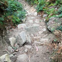 Pictures never do it justice.