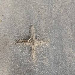 I saw this on the edge of a paved street. ?accidental or intentional. Interesting nonetheless