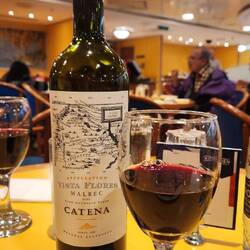 Dinner, wine, dessert, a quick look at the entertainment in the Show Bar, and then to bed