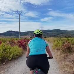 El Bierzo es zona de vino por lo visto, asi que hoy me tocó pedalear buen rato entre viñedos.