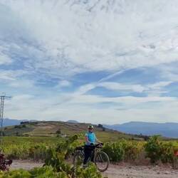 Atajate esta panorámica!