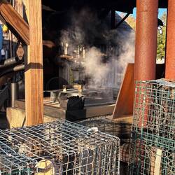 Steaming pots of Lobsters