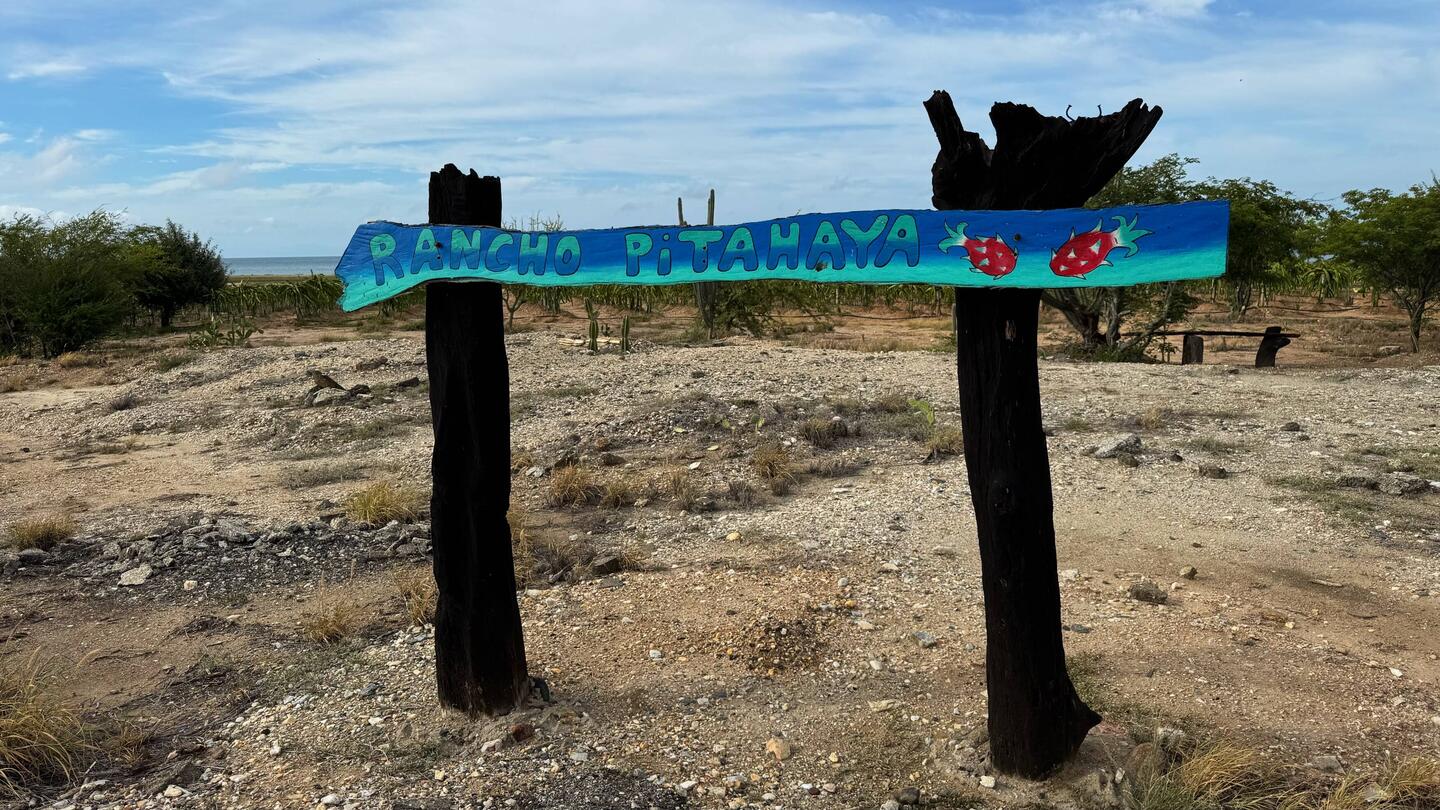 El Rancho Pitahaya