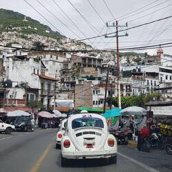In Taxco you can see a lot of VW Beetles operating as taxis.