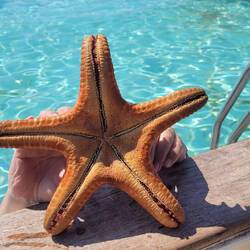 HIER HAT JEMAND ETWAS GEFUNDEN