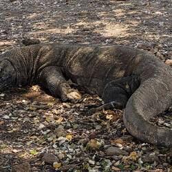 Zum Glück schläft er
