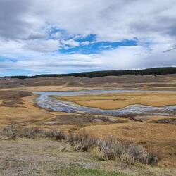 Hayden Valley