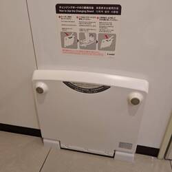 Unlike others, you keep outdoor shoes on in the servo bathroom - can flip this to stand and change