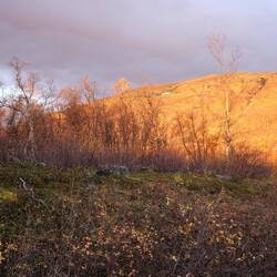 Hinein ins Abenteuer " Natur "