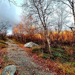 Der Weg wird steinig sein...