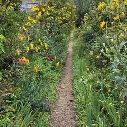 Monet's garden. It was sensational