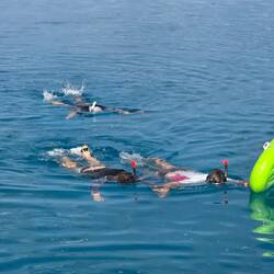 Snorkeling