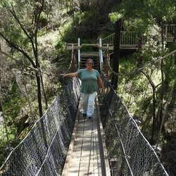 Swinging bridge at Beedelup Falls