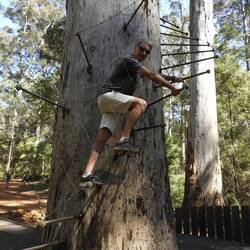 .... just like Brad did (Not!)