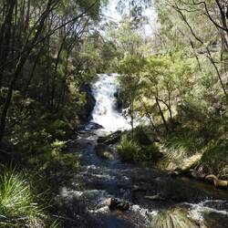 Beedelup falls