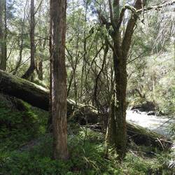 Scenes from the tram trip