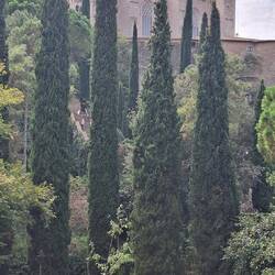 Heading back to the city