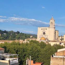 View from roof top to Cathedral