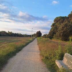 My long run - even lights for night walks
