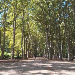 Devesa Park - venue for a lot of Girona's events