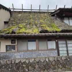 A thatched roof needing replacement
