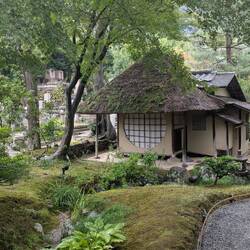 Garden at Hideyoshi shrine