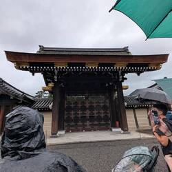 Palace gate, cedar wood