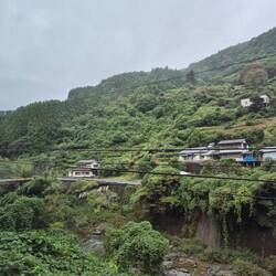 Alles ist wahnsinnig grün