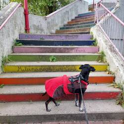 Oha ... so hoch? 😂