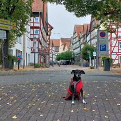 Hier ist der "Eingang" zur Altstadt