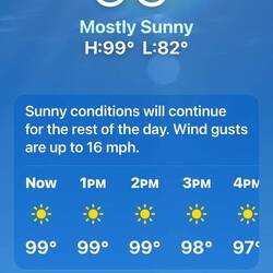 It feels a lot hotter than 99F.