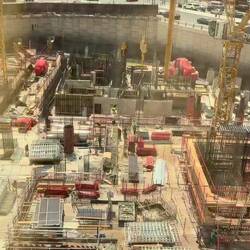 The worker bees from other countries