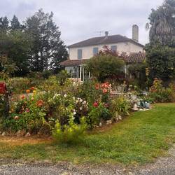 Jane passed a pretty garden so took photo for me