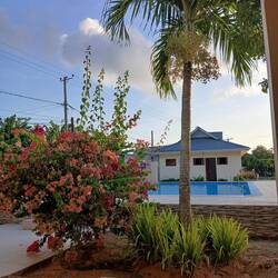 Blick aus unserem Zimmer.