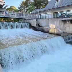 The Leland River weir and nearby motel from our dinner table at The Cove