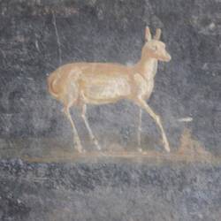 Museum libero. Fresco 1st c ad