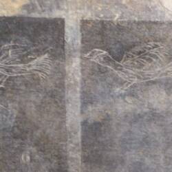 Villa San Marco. Children's grafitti