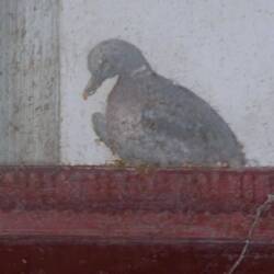 Villa San Marco. Fresco bird