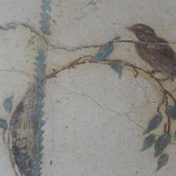 Villa arianna. Fresco bird