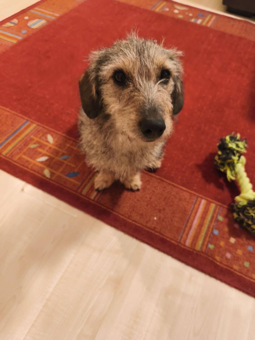 Fotogen und jetzt die Hauptperson,🤣