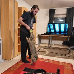 Sie hat noch Energie